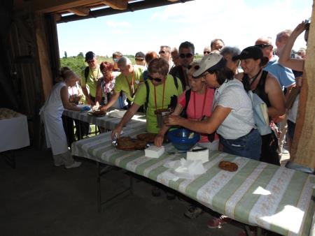 Pomlad v prleških goricah 2017 106